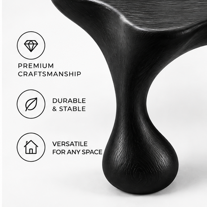 domivov® Black Organic Sculptural Accent Table